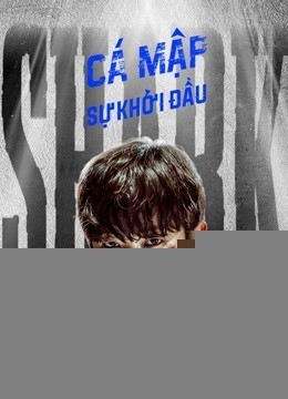 Xem phim Cá Mập: Sự Khởi Đầu