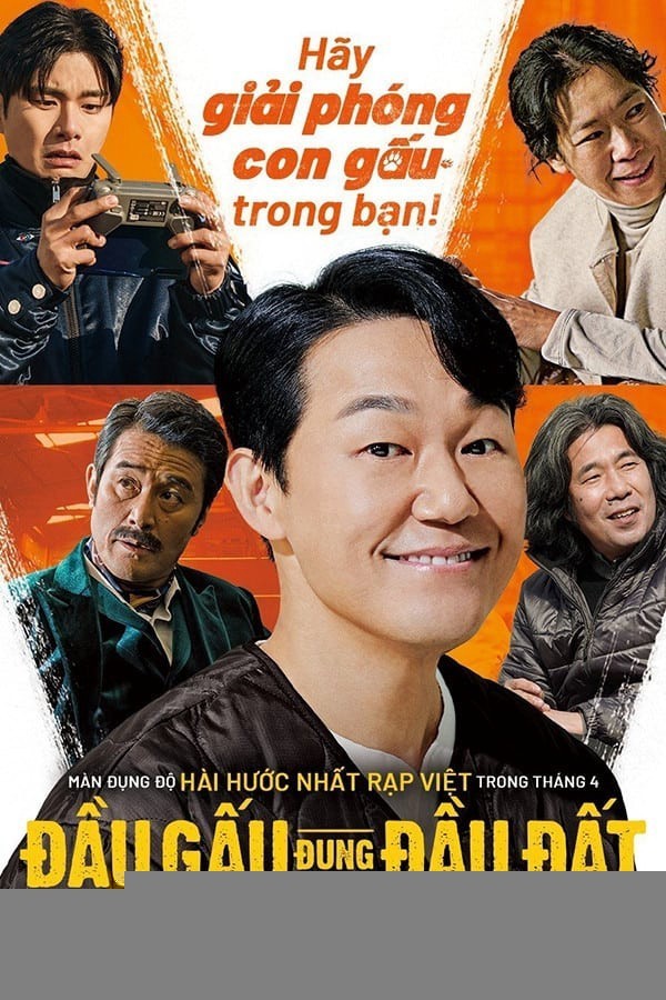 Xem phim Đầu Gấu Đụng Đầu Đất