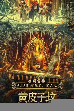 Xem phim Mộ Hoàng Bì Tử