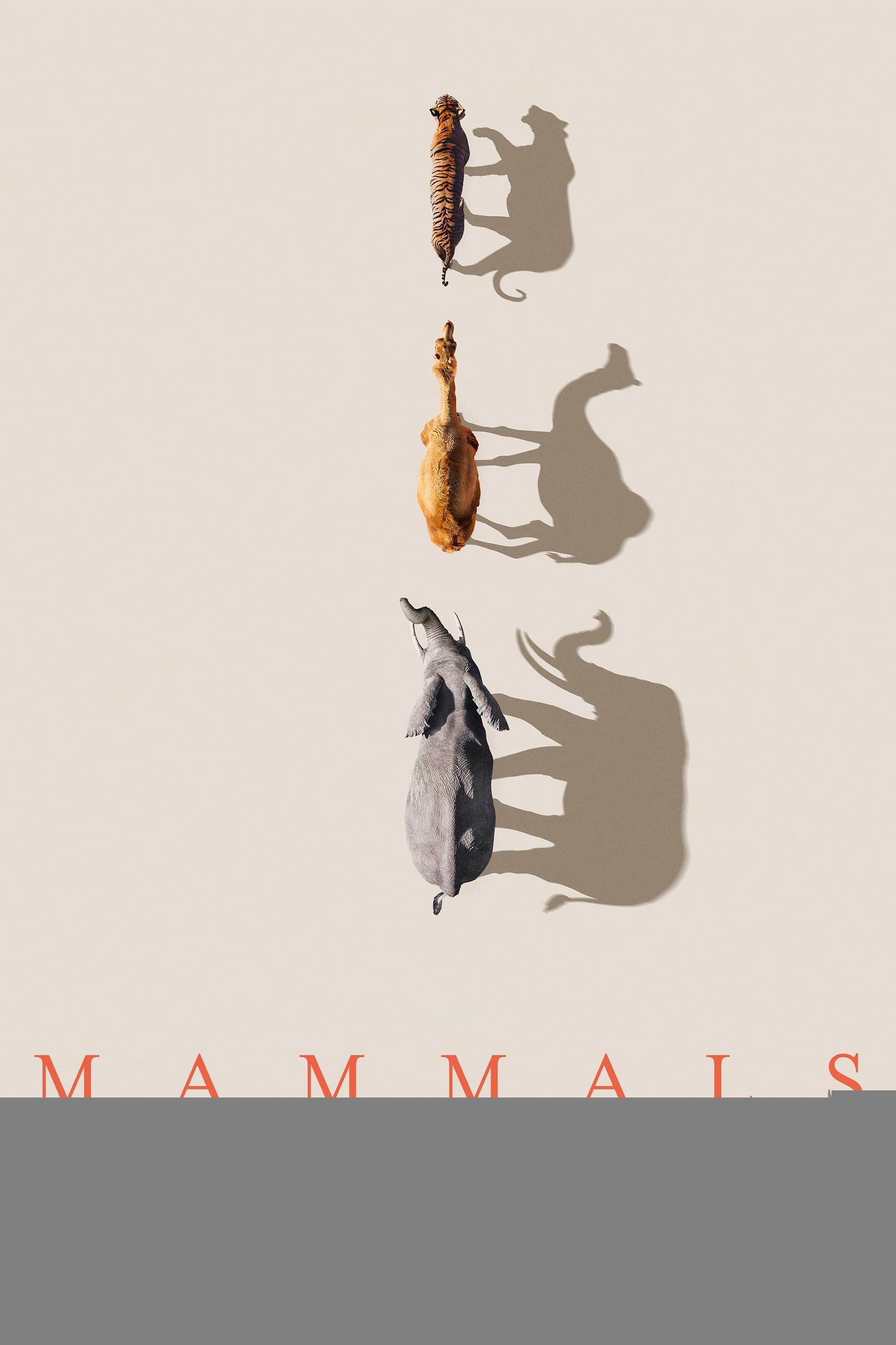 Xem phim Mammals (2024)