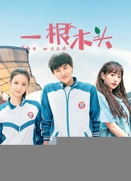 Xem phim Một Khúc Gỗ Mùa 1