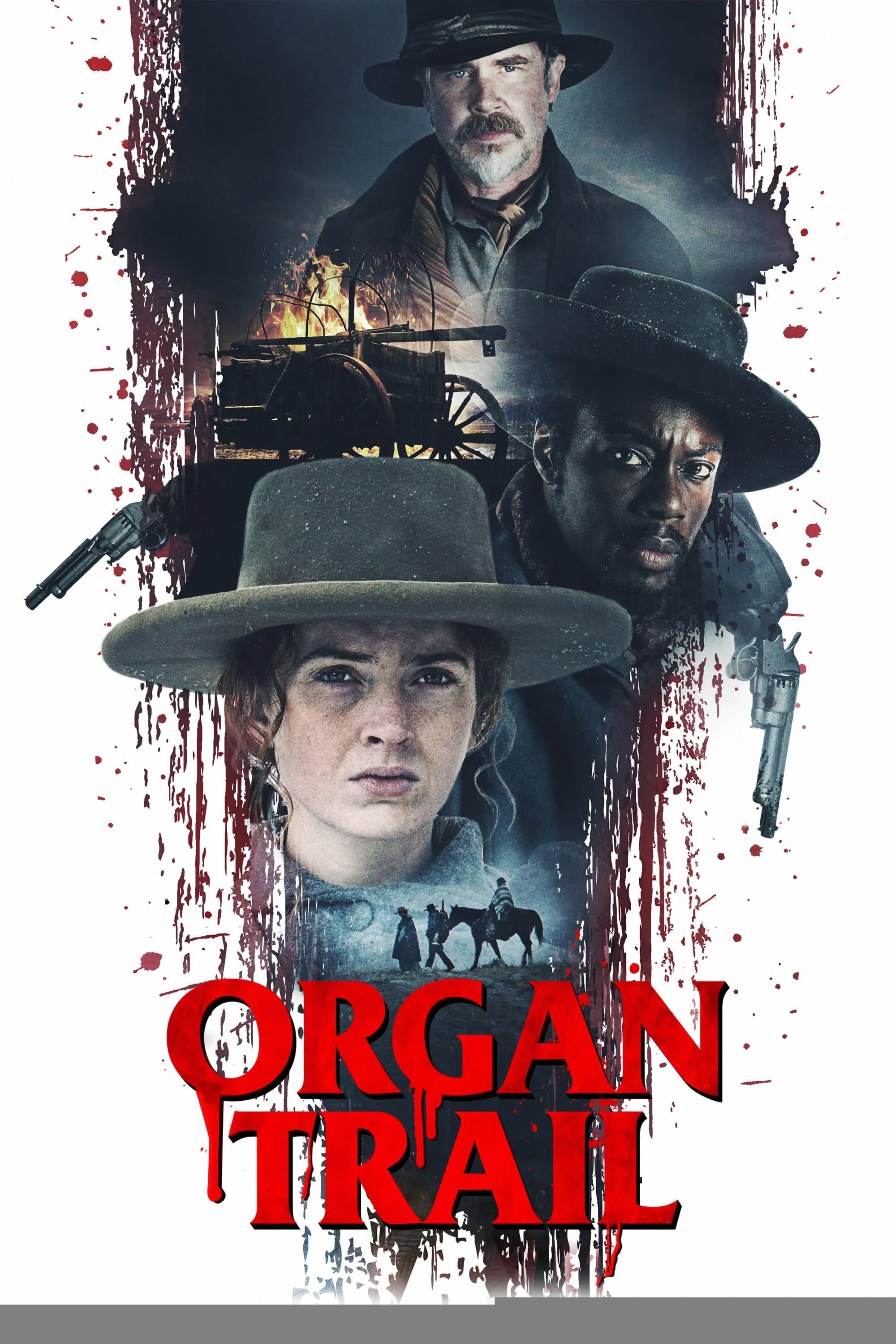 Xem phim Đường Mòn Organ