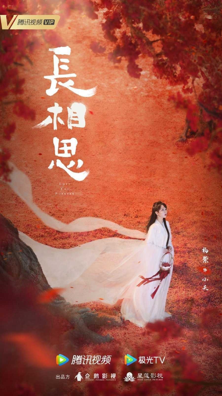 Xem phim Trường Tương Tư (Thuyết Minh)
