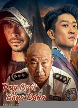 Xem phim Truy Quét Băng Đảng